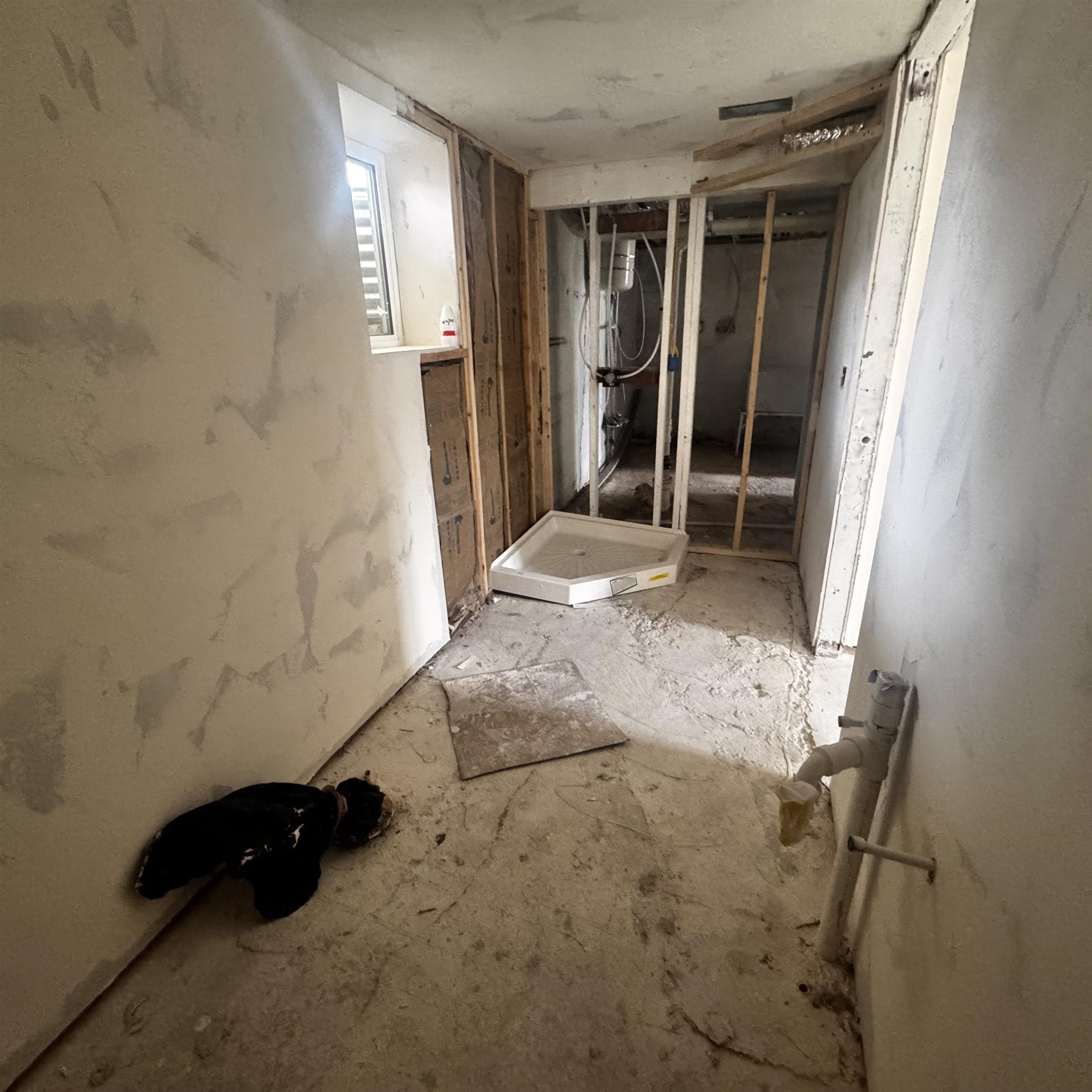 307 East Walnut Street Rawlins, WY 82301 - Photo 9 of 14