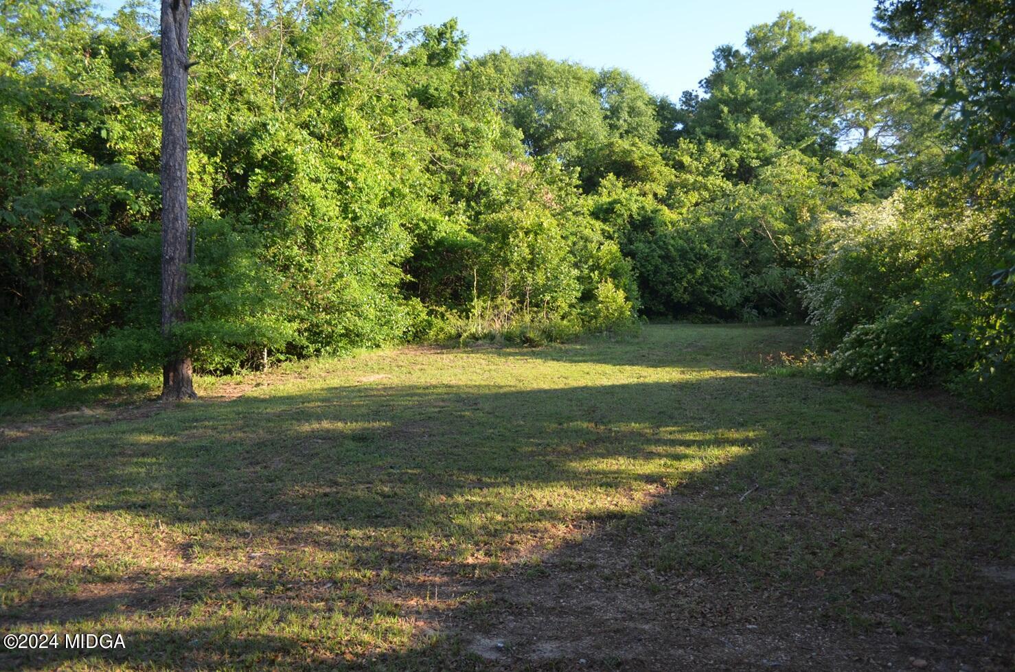 1579 Canterbury Road Macon, GA 31206 - Photo 14 of 15 a view of a yard with a large trees