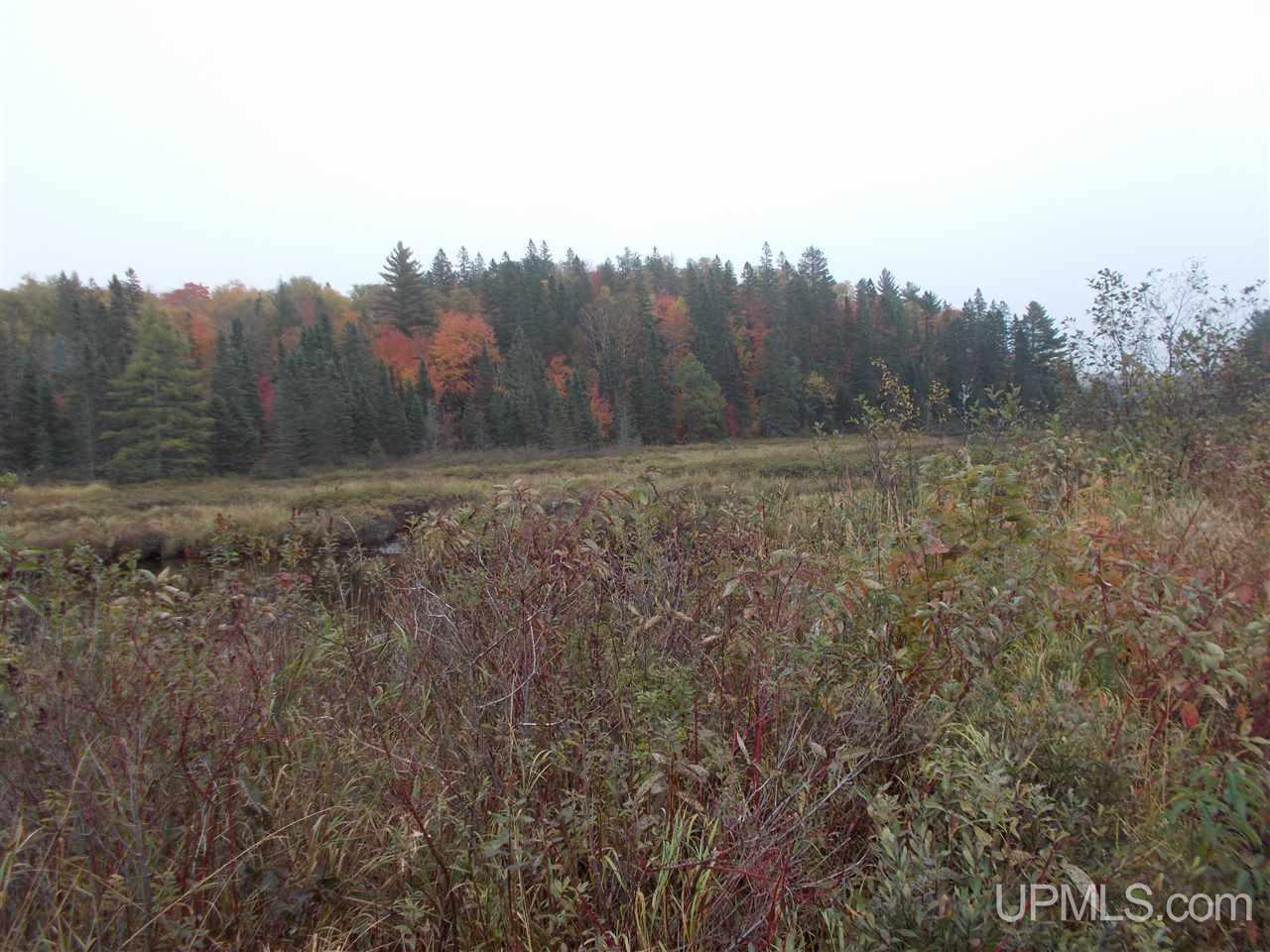 640-acres Peshekee Grade Road Skanee, MI 49946 - Photo 19 of 37