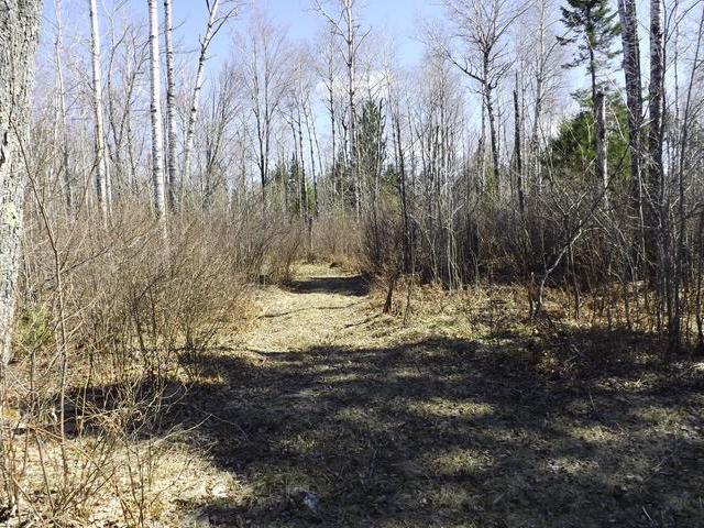 2470 Adams Road Eagle River, WI 54521 - Photo 5 of 7 Gallery Image 5