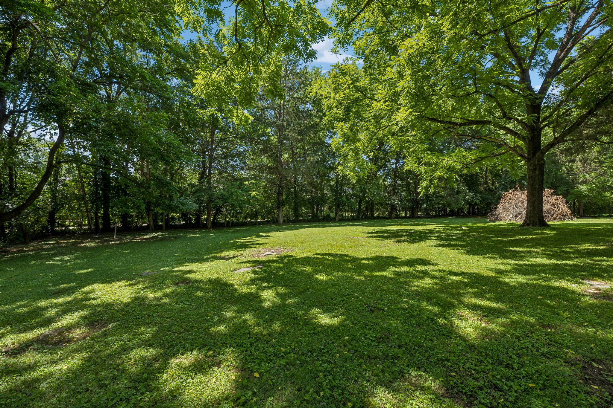 1505 Hillsboro Road Franklin, TN 37069 - Photo 53 of 73 Gallery Image 53
