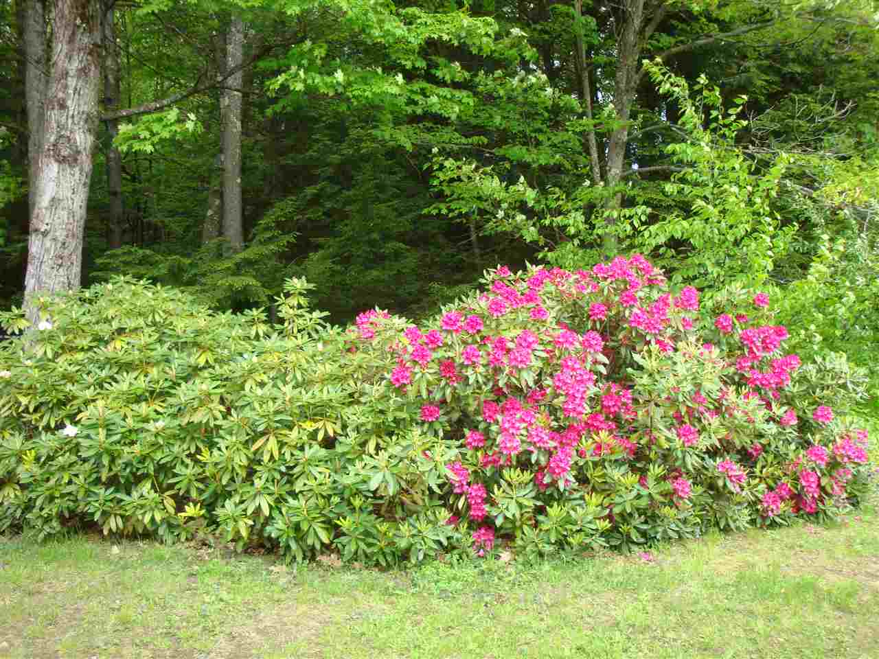 204 Kelly Road Dummerston, VT 05301 - Photo 30 of 40