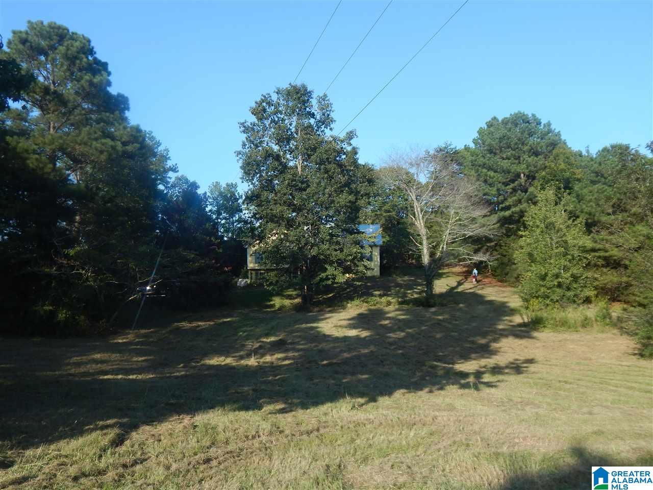 2100 Old Woodstock Road West Blocton, AL 35184 - Photo 2 of 6