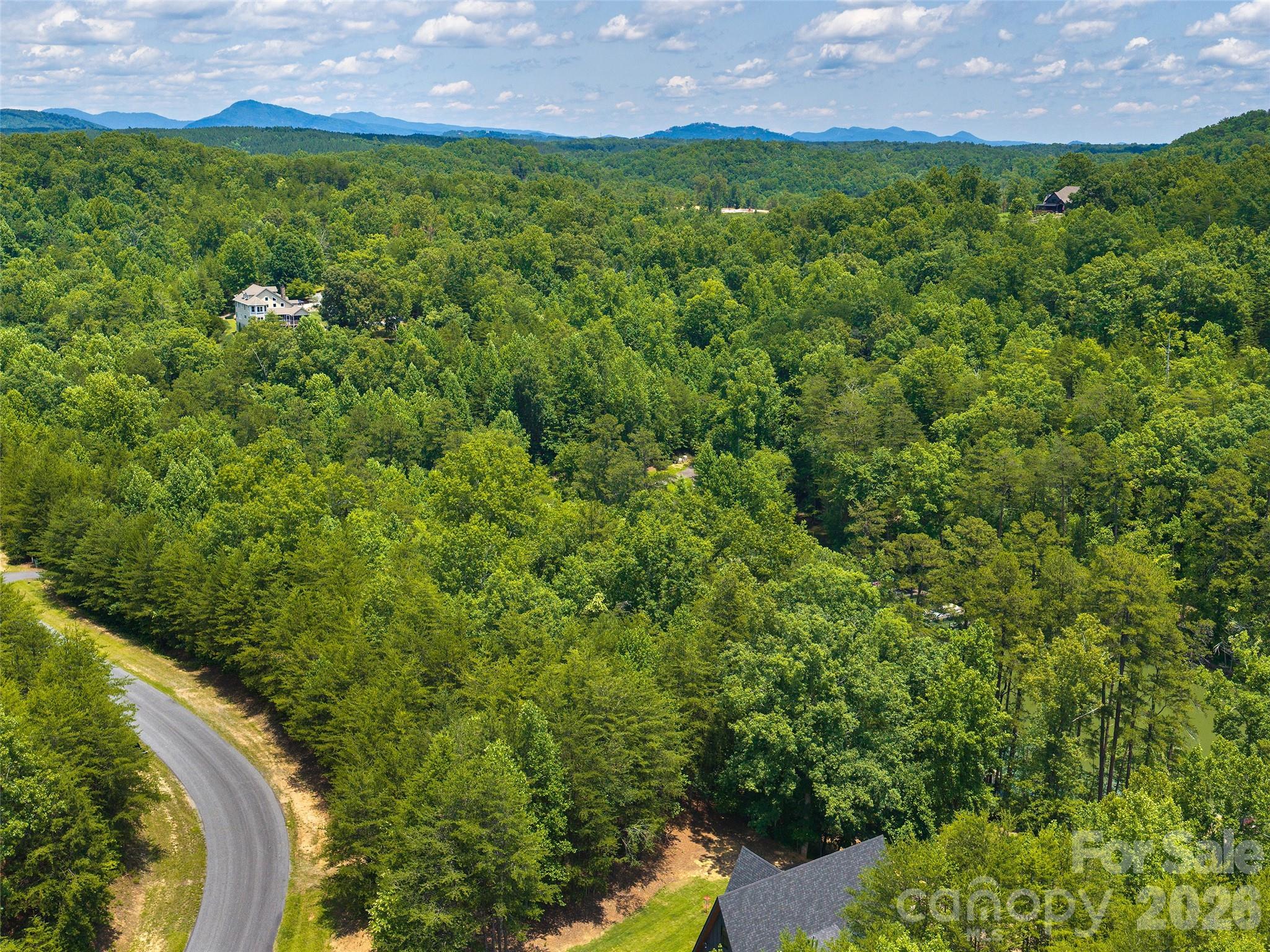 Lot 14 Parkway North Rd Mill Spring, Unit 14 Mill Spring, NC 28756 - Photo 11 of 14