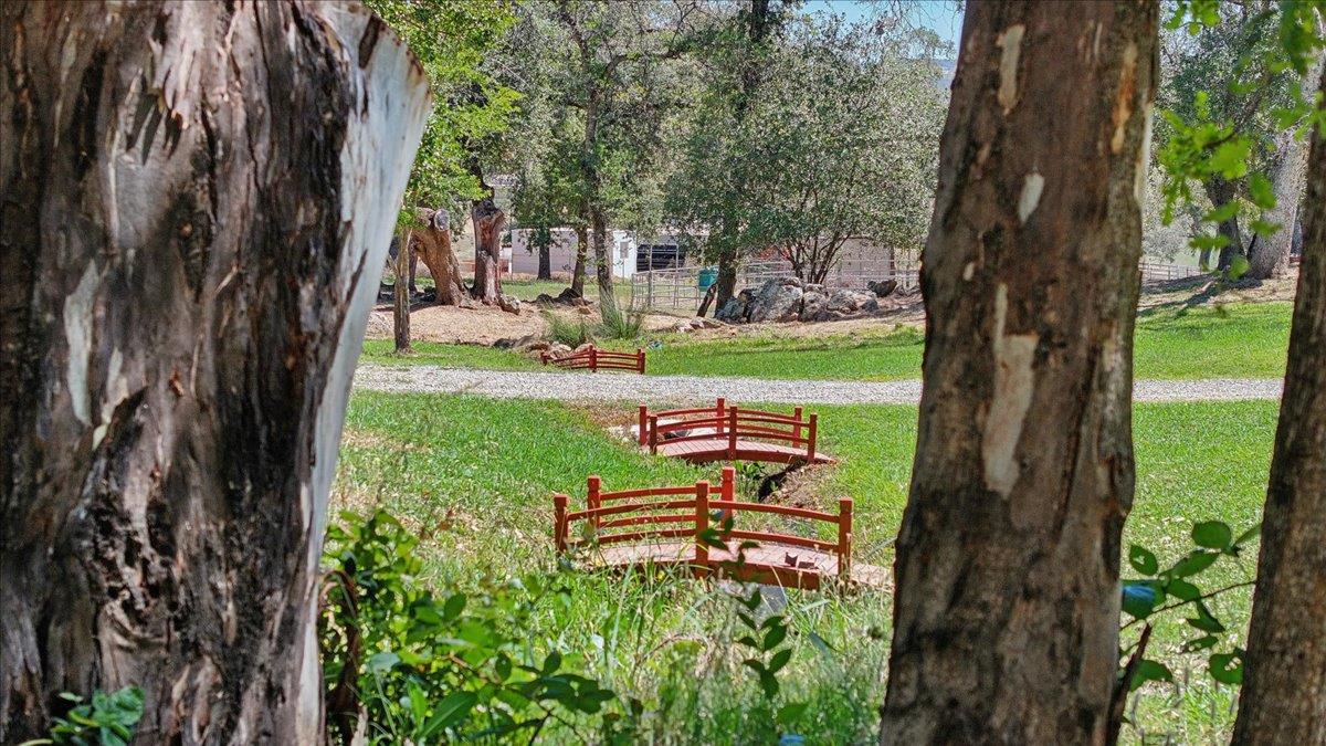 8395 McCourtney Road Lincoln, CA 95648 - Photo 93 of 96