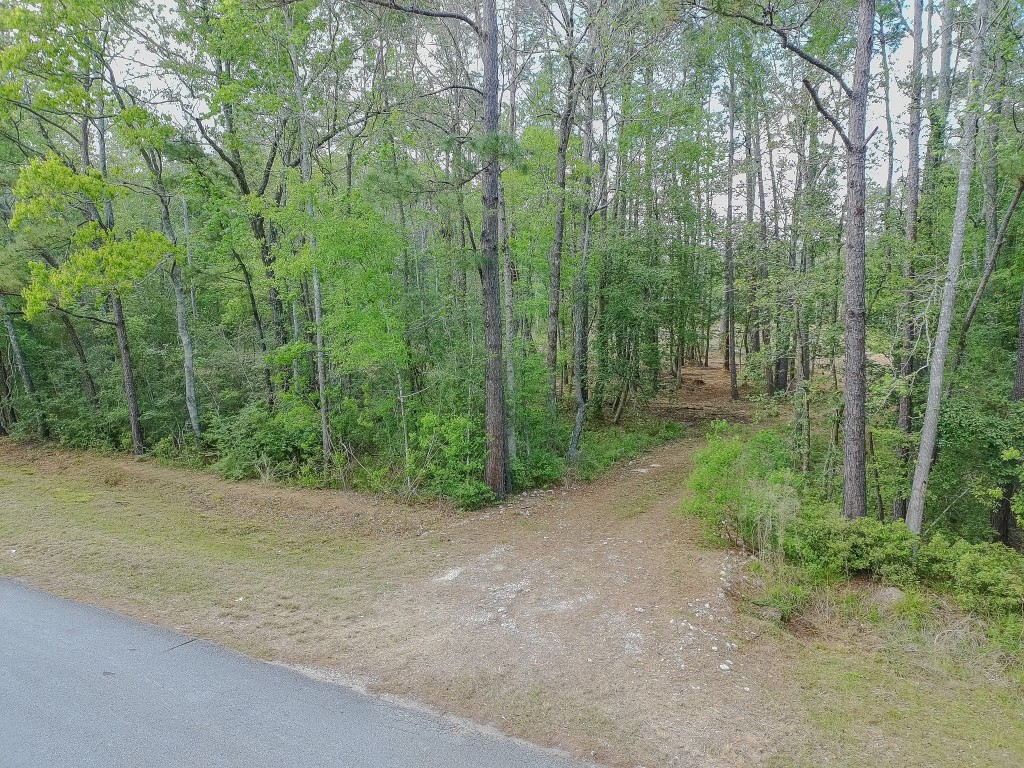 0 Ascot Farms Road Magnolia, TX 77354 - Photo 2 of 12 Interior has been cleared and a culvert has been placed.