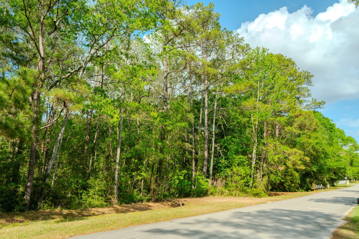 0 Ascot Farms Road Magnolia, TX 77354 - Photo 3 of 12 Quite a few trees have been left for privacy screening.