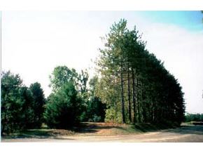 Lot 3 Jane Appleton Way Hampton, NH 03842 - Photo 3 of 4
