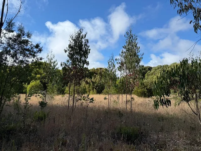 $80,000 | 0 Bonita Avenue, Half Moon Bay, CA 94019