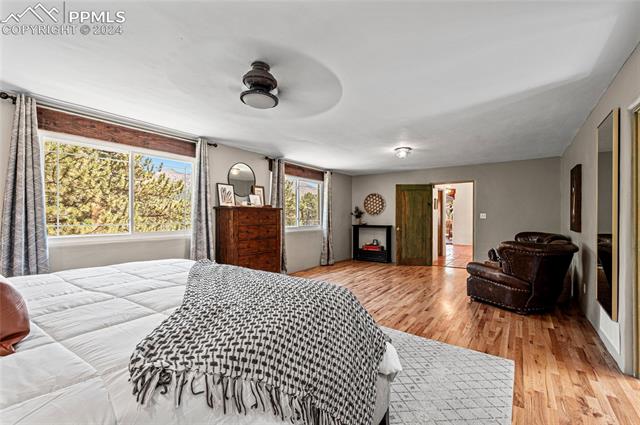 9875 Fountain Road Cascade, CO 80809 - Photo 25 of 47 Gallery Image 25