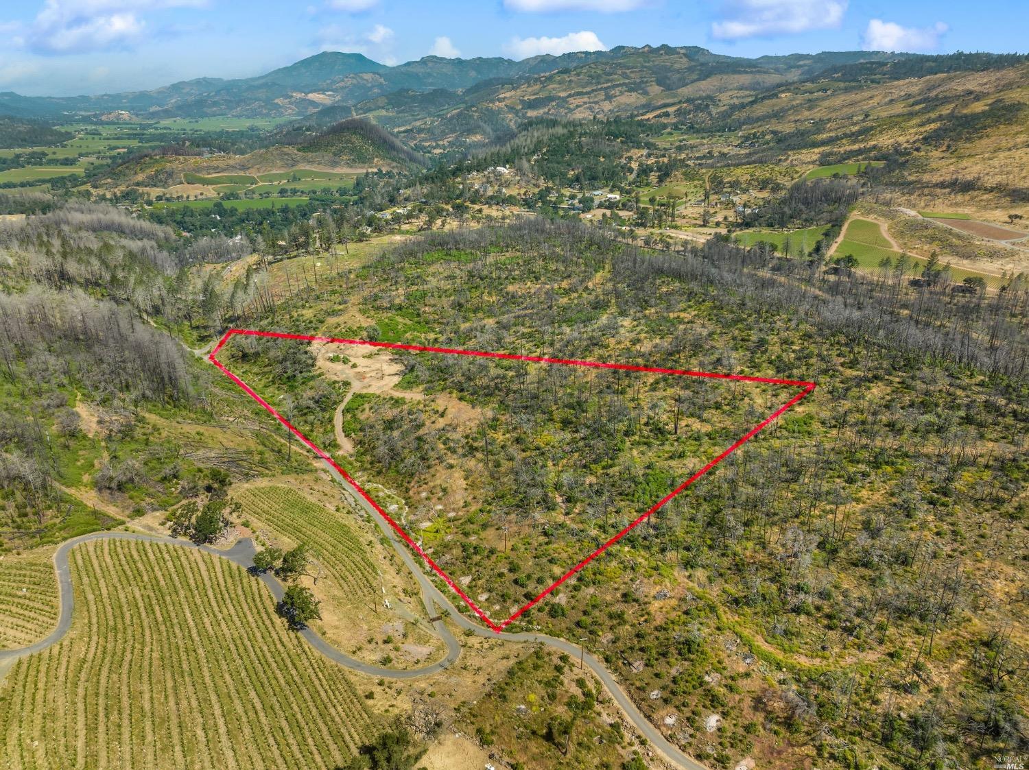 180 Mund Road St. Helena, CA 94574 - Photo 1 of 1 Herb Lamb Vineyards in foreground. Abreu to right back.