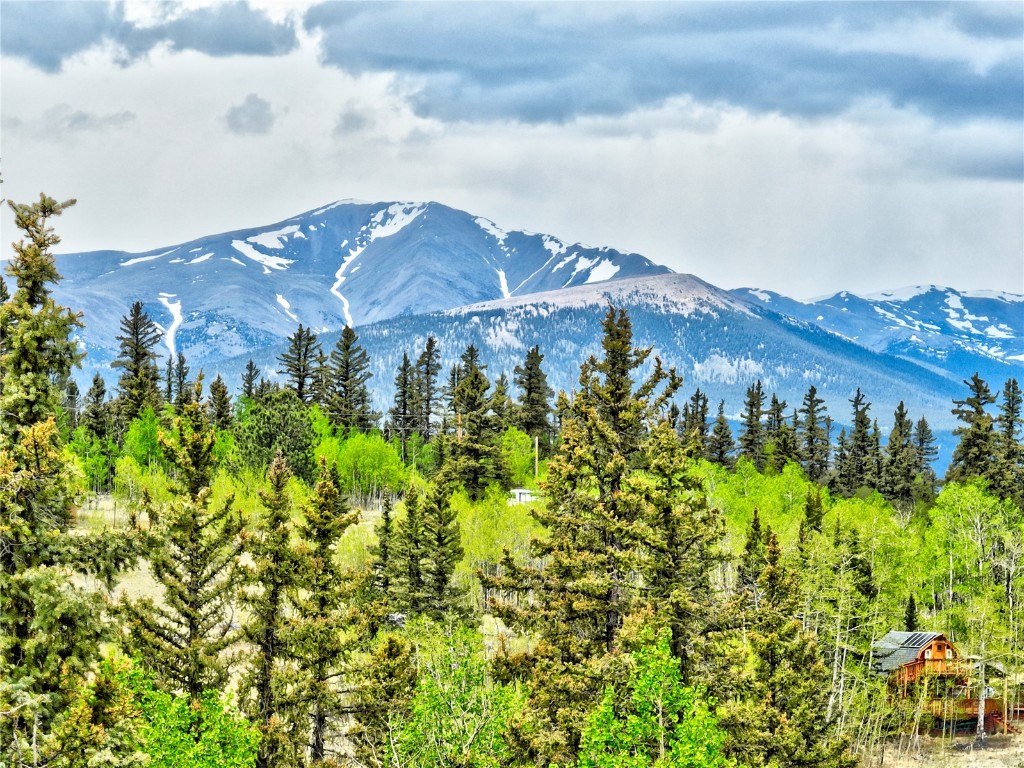 View of mountain backdrop featuring a forest