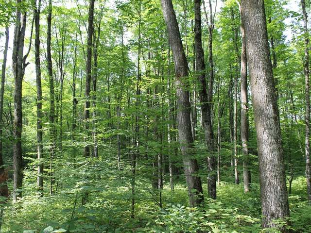 8095 North Bass Lake Road Hurley, WI 54534 - Photo 20 of 20 Gallery Image 20