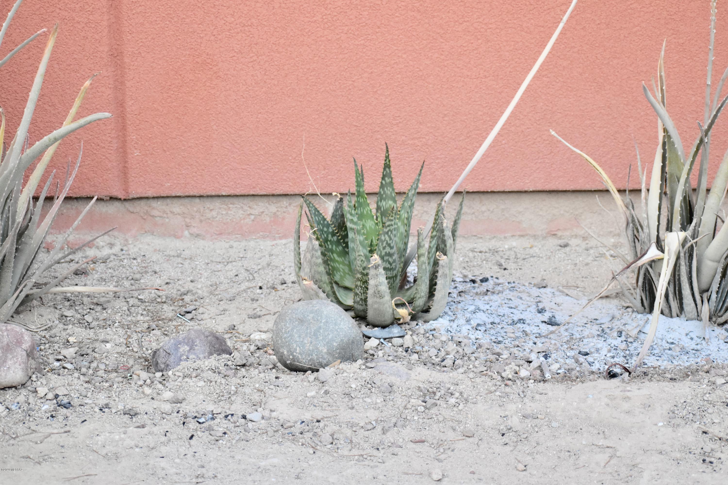 350 North Silverbell Road Tucson, AZ 85745 - Photo 4 of 26