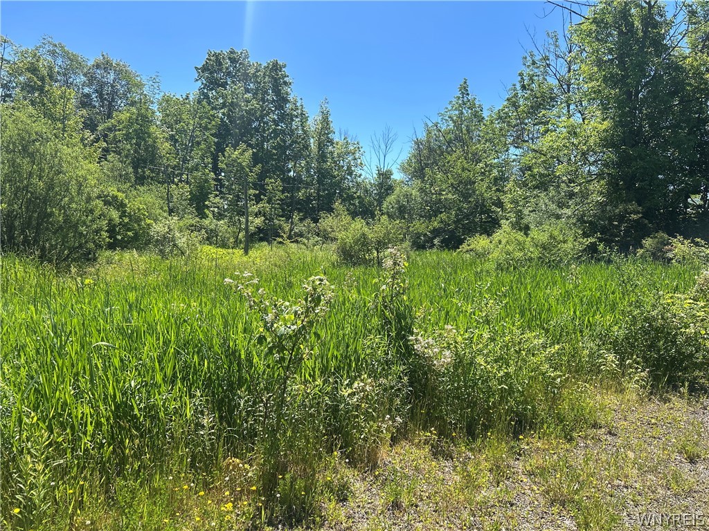 Warner Hill Road South Wales, NY 14139 - Photo 2 of 5
