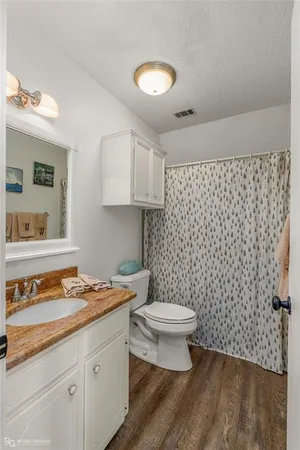 a bathroom with a sink a toilet and a shower