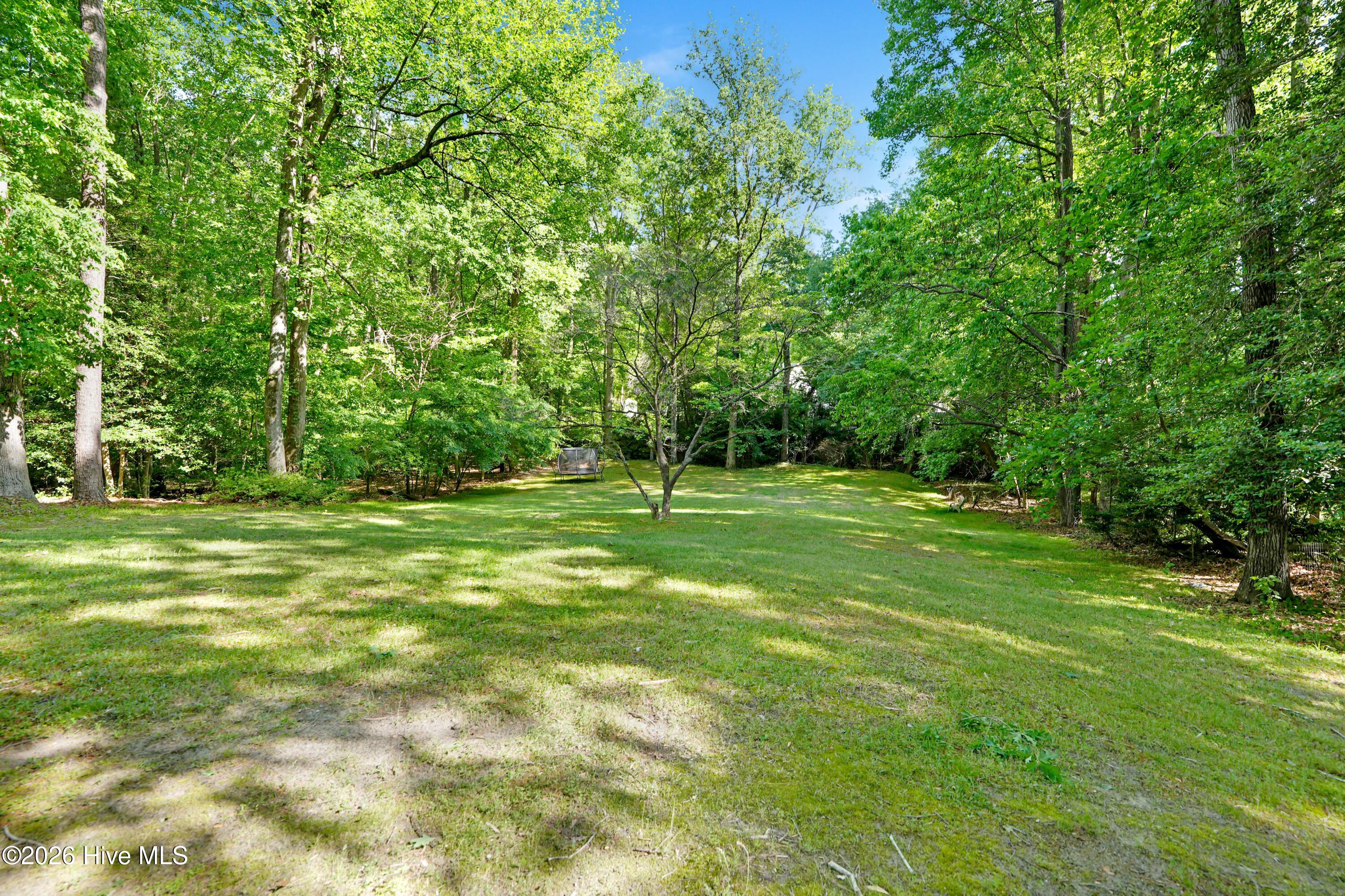 281 Greenbriar Country Road Tarboro, NC 27886 - Photo 33 of 36 7IV09855