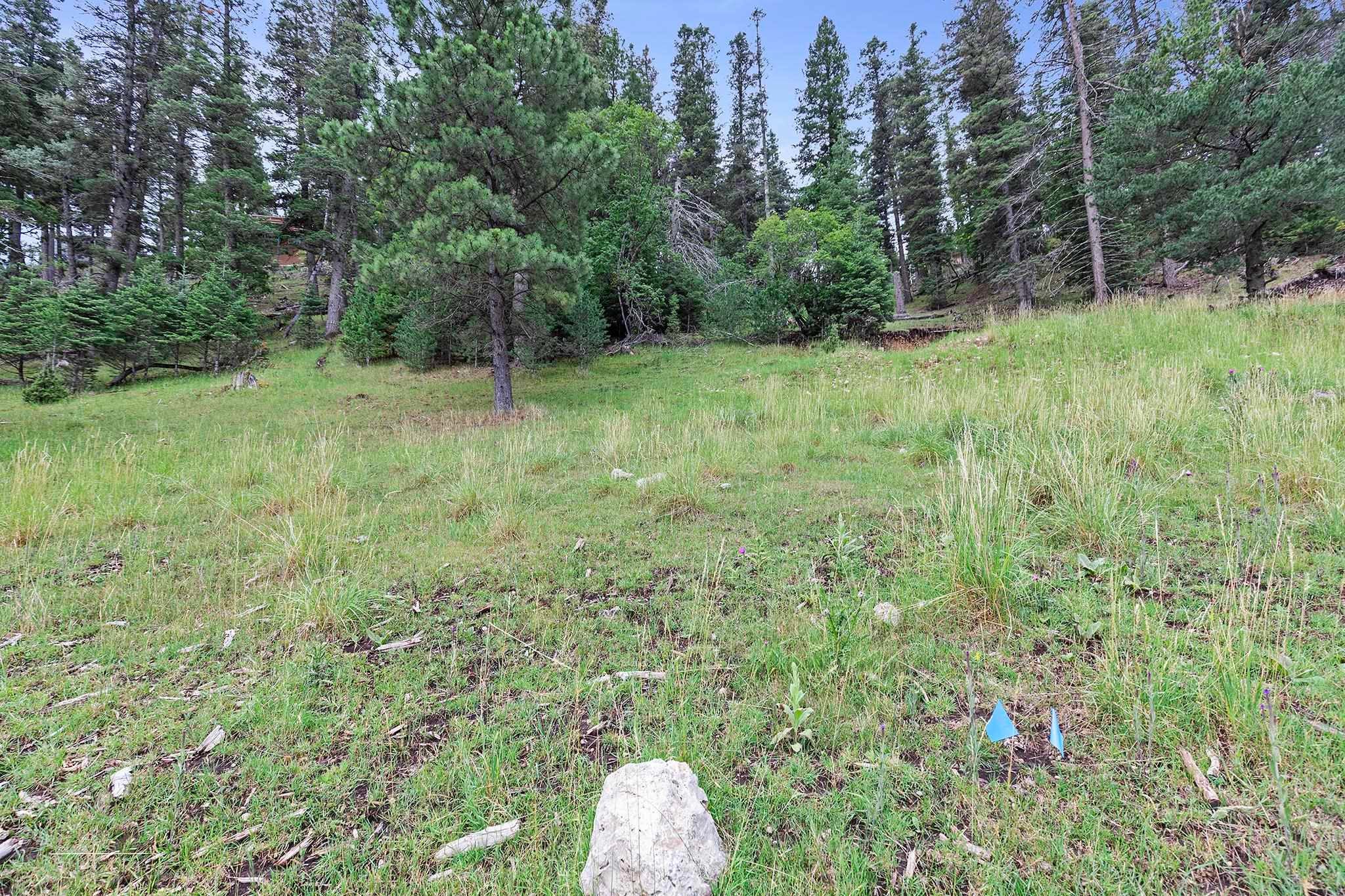 Lot 40 Trading Post Road Cloudcroft, NM 88317 - Photo 10 of 12 Gallery Image 10