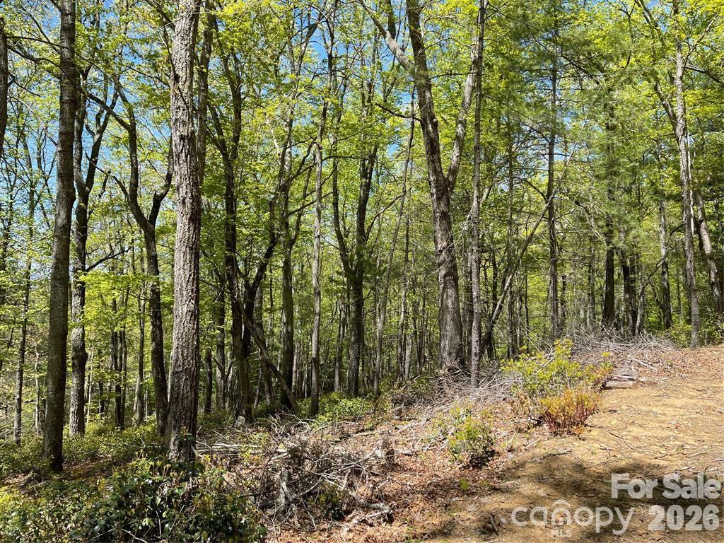 0 Orchard View Trail, Unit 11 Spruce Pine, NC 28777 - Photo 11 of 18 a view of a yard with plants and trees
