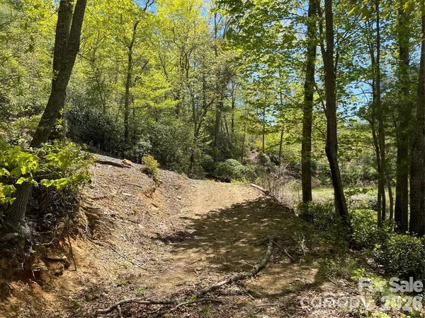 a view of a yard with plants and trees