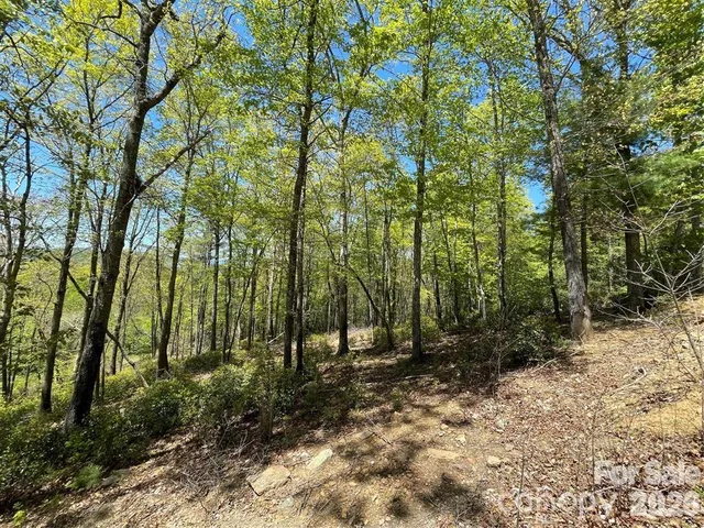 a view of outdoor space and green space