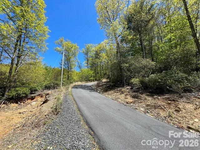 a view of a yard with plants and trees
