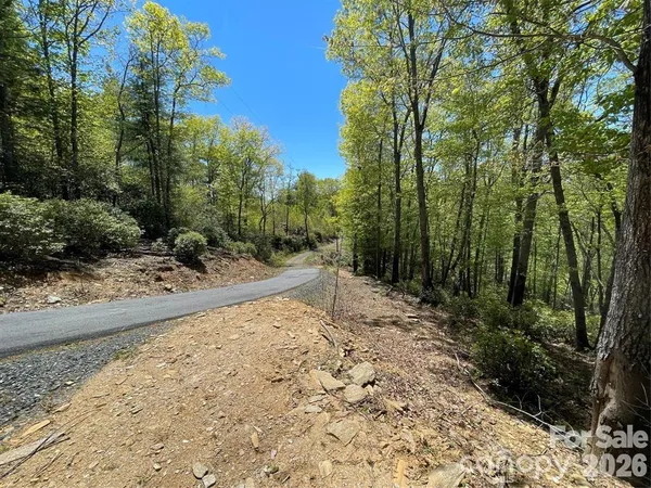 a view of a yard with trees