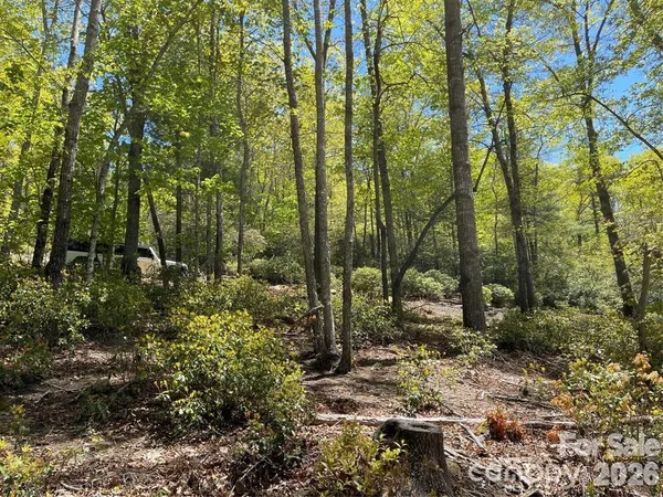 a view of outdoor space and trees