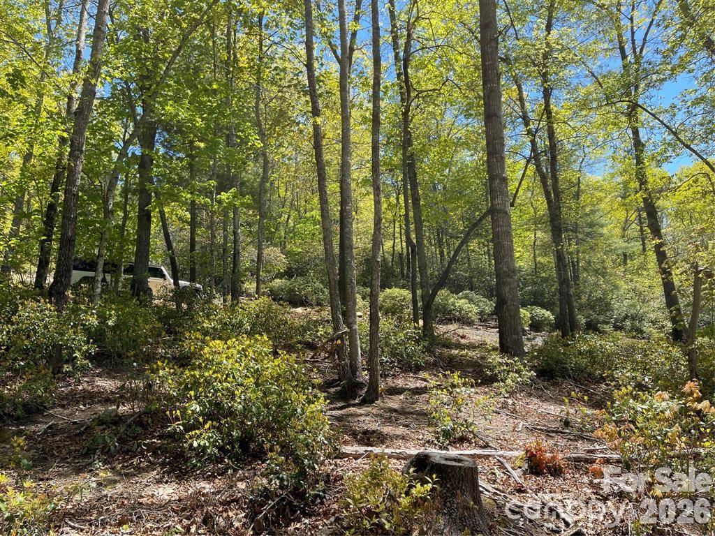 0 Orchard View Trail, Unit 11 Spruce Pine, NC 28777 - Photo 3 of 18 a view of outdoor space and trees