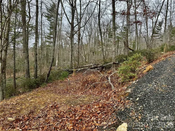 a view of backyard with green space