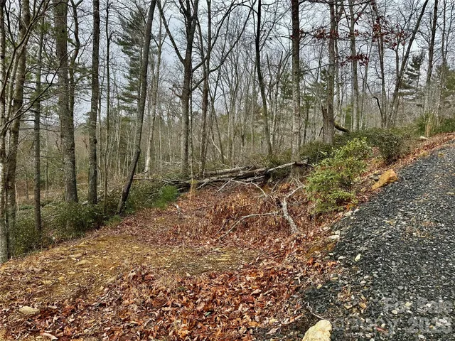 a view of backyard with green space