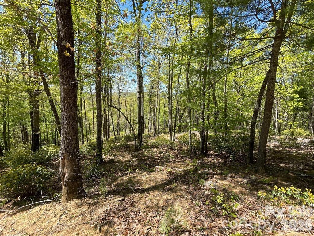 0 Orchard View Trail, Unit 11 Spruce Pine, NC 28777 - Photo 8 of 18 a view of outdoor space and trees