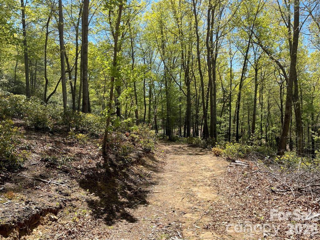 0 Orchard View Trail, Unit 11 Spruce Pine, NC 28777 - Photo 10 of 18 a backyard of a house with lots of green space