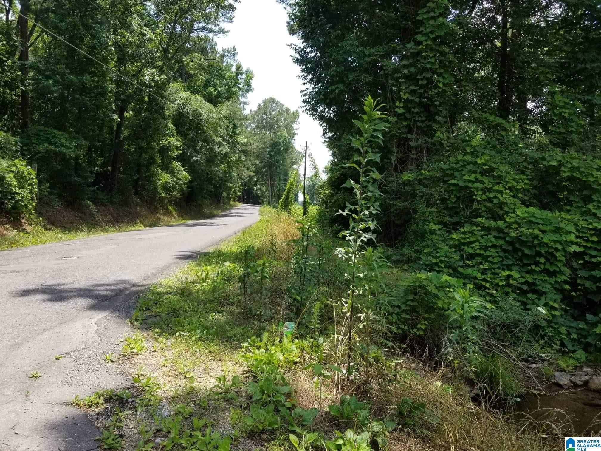 Honeycutt Road Remlap, AL 35133 - Photo 22 of 24