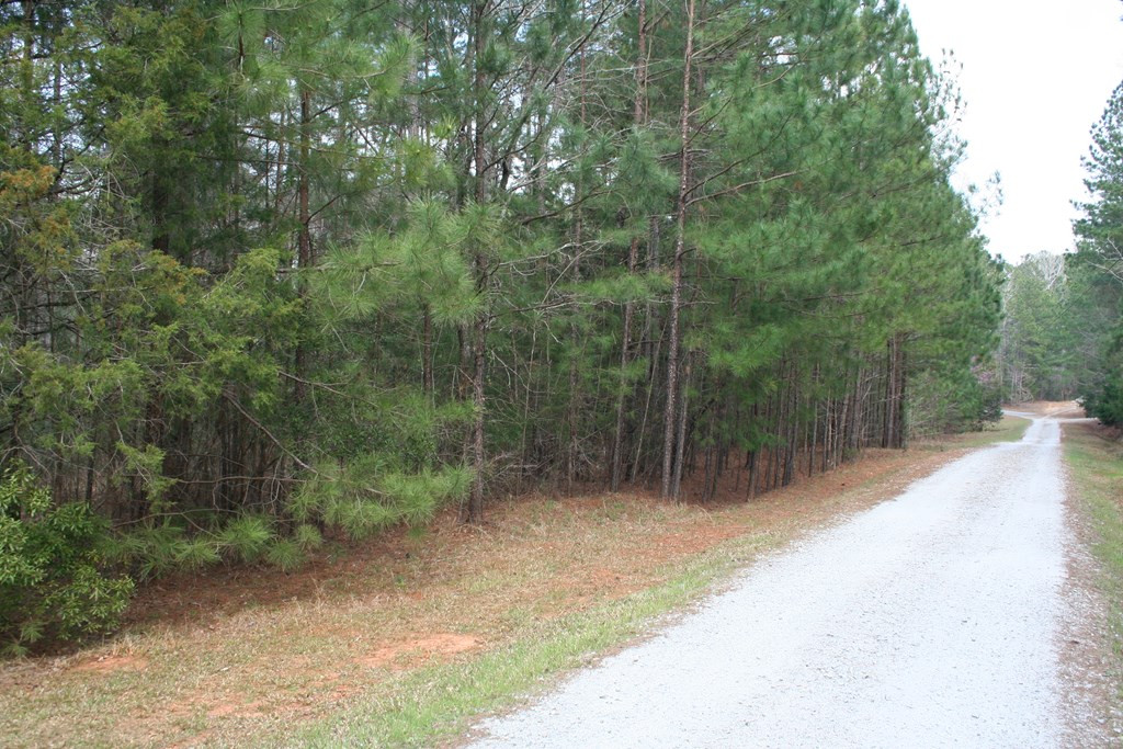 7703 Winfield Road Appling, GA 30802 - Photo 2 of 13