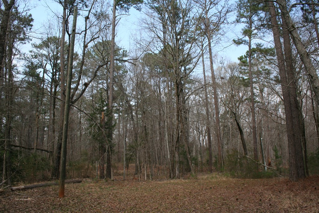 7703 Winfield Road Appling, GA 30802 - Photo 3 of 13