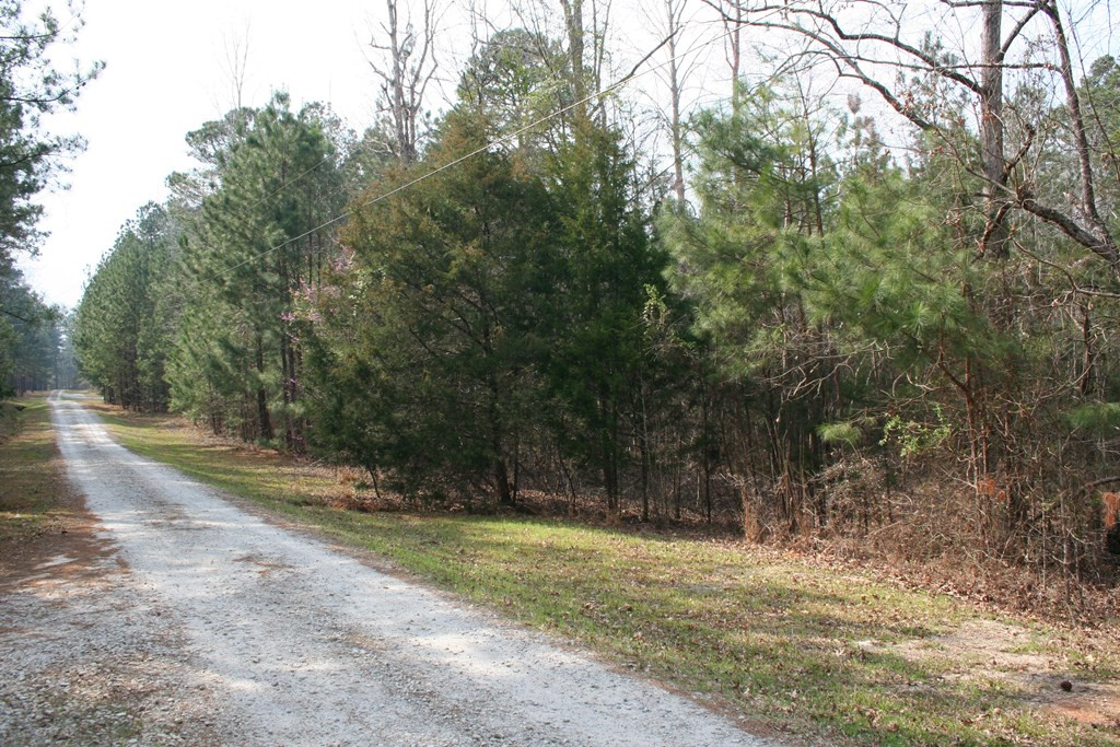 7703 Winfield Road Appling, GA 30802 - Photo 8 of 13