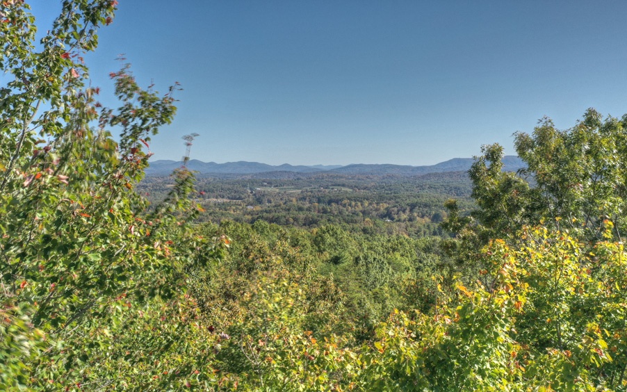 41 Highland Circle Blue Ridge, GA 30513 - Photo 1 of 1 a view of a field with a tree