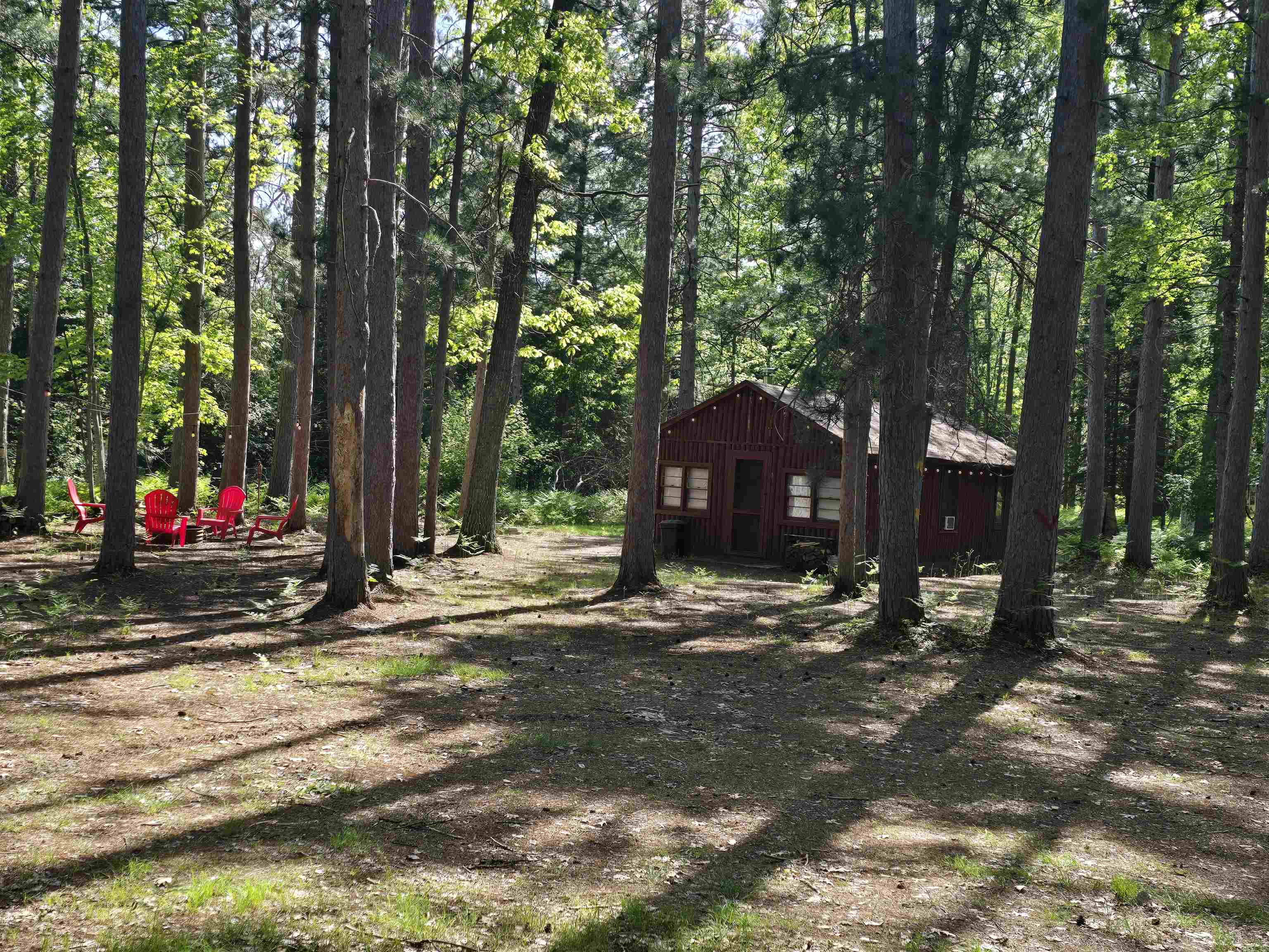 V/l South Military Road Fife Lake, MI 49633 - Photo 1 of 43