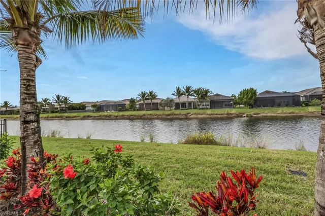 a view of a lake with a palm tree and a wooden fence