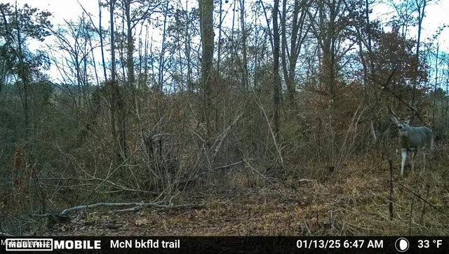 $449,450 | 1 Hwy 15 South Noxapater Ms 39346, Noxapater, MS 39346