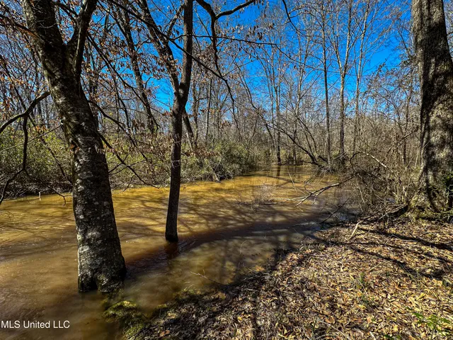 $449,450 | 1 Hwy 15 South Noxapater Ms 39346, Noxapater, MS 39346