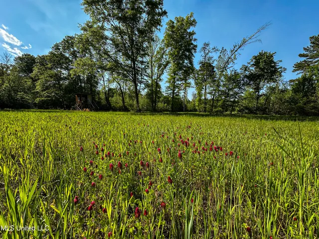 $449,450 | 1 Hwy 15 South Noxapater Ms 39346, Noxapater, MS 39346