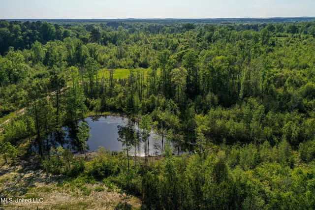 $449,450 | 1 Hwy 15 South Noxapater Ms 39346, Noxapater, MS 39346