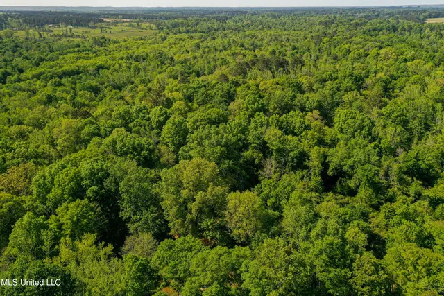 $449,450 | 1 Hwy 15 South Noxapater Ms 39346, Noxapater, MS 39346