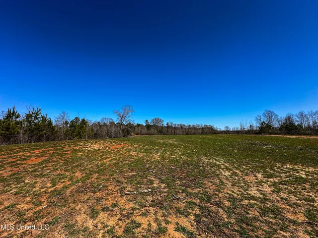 $449,450 | 1 Hwy 15 South Noxapater Ms 39346, Noxapater, MS 39346
