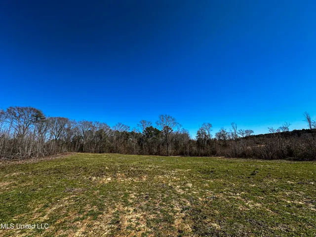 $449,450 | 1 Hwy 15 South Noxapater Ms 39346, Noxapater, MS 39346