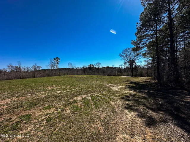 $449,450 | 1 Hwy 15 South Noxapater Ms 39346, Noxapater, MS 39346