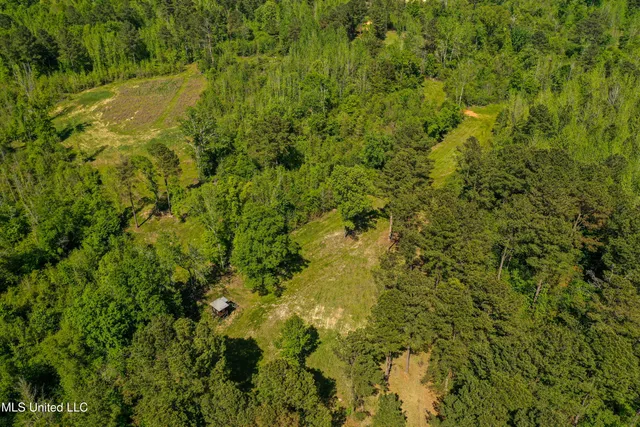 $449,450 | 1 Hwy 15 South Noxapater Ms 39346, Noxapater, MS 39346