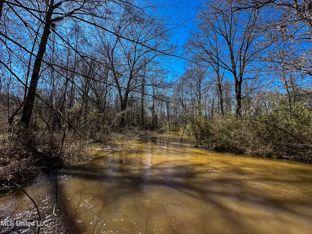 $449,450 | 1 Hwy 15 South Noxapater Ms 39346, Noxapater, MS 39346